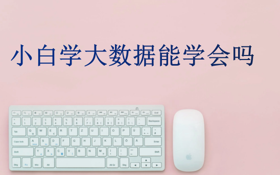 小白學(xué)大數(shù)據(jù)能學(xué)會(huì)嗎