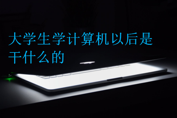大學(xué)生學(xué)計(jì)算機(jī)以后是干什么的