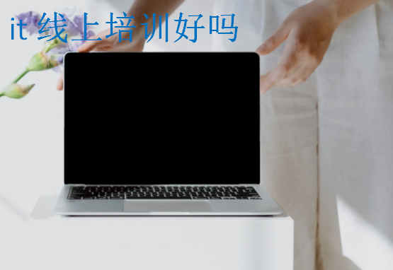 it線(xiàn)上培訓(xùn)好嗎