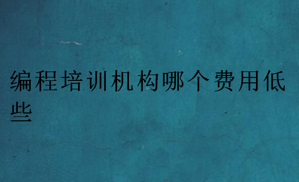 編程培訓(xùn)機(jī)構(gòu)哪個(gè)費(fèi)用低些