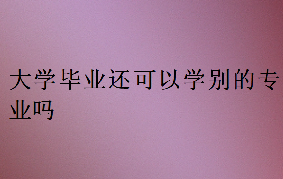 大學(xué)畢業(yè)還可以學(xué)別的專業(yè)嗎