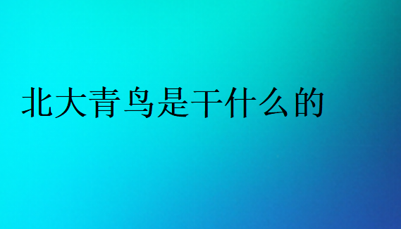 中博教育是干什么的