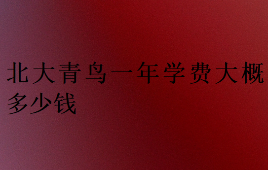 中博教育一年學(xué)費大概多少錢