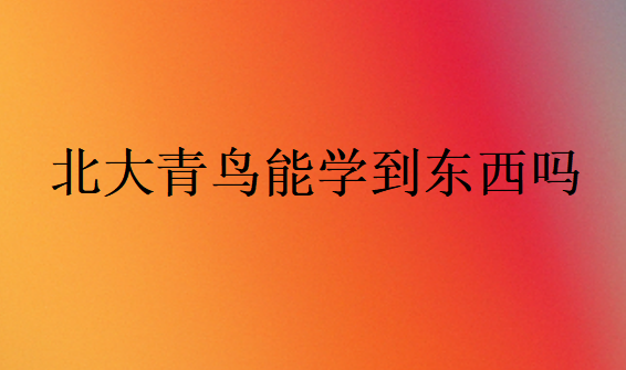 中博教育能學(xué)到東西嗎