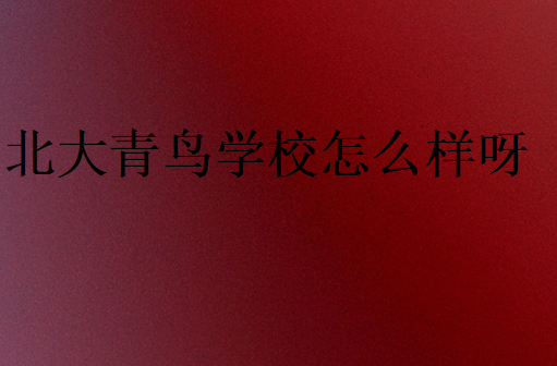 中博教育學(xué)校怎么樣呀
