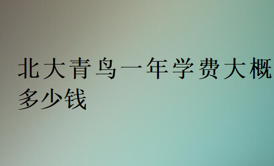 北大青鳥一年學(xué)費(fèi)大概多少錢