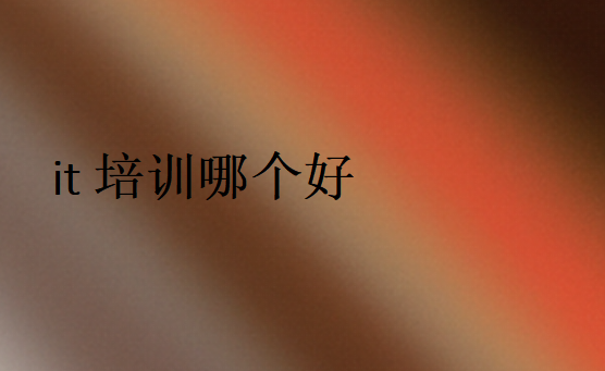 2025it培訓(xùn)哪個(gè)好排名前十熱門名單
