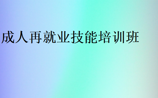 成人再就業(yè)技能培訓(xùn)班