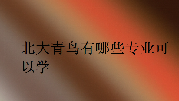 北大青鳥有哪些專業(yè)可以學(xué)